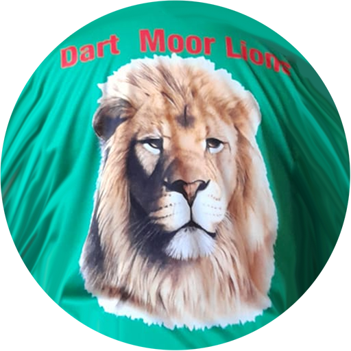 Dart Moor Lions Achim